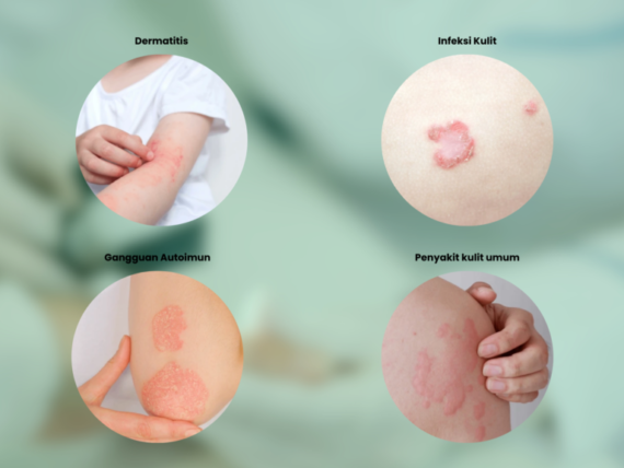 Your-paragraph-text16-1024x576